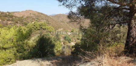 Field for sale in Sanida, Limassol