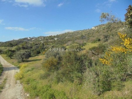 Agricultural Field for sale in Asgata, Limassol