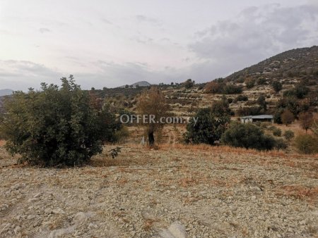 Agricultural Field for sale in Parekklisia, Limassol