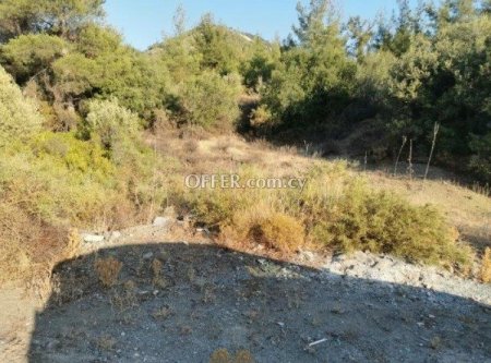 Agricultural Field for sale in Pyrgos Lemesou, Limassol