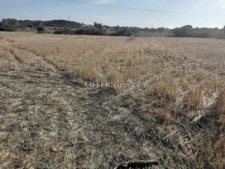 Agricultural Field for sale in Pachna, Limassol - 1