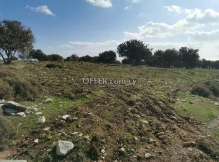 Field for sale in Anogyra, Limassol