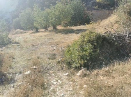 Agricultural Field for sale in Pyrgos Lemesou, Limassol