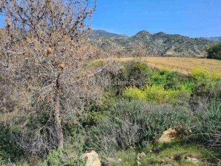 Agricultural Field for sale in Kalo Chorio, Limassol - 1