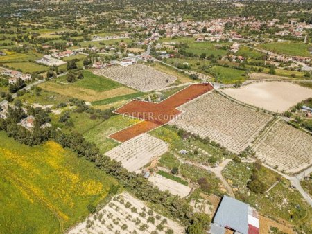 Residential Field for sale in Anogyra, Limassol - 1