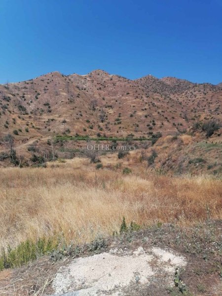 Agricultural Field for sale in Melini, Larnaca