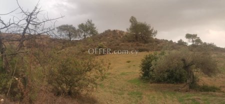 Field for sale in Tochni, Larnaca
