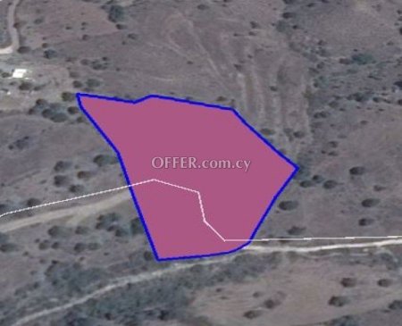 Agricultural Field for sale in Statos - Agios Fotios, Paphos - 1