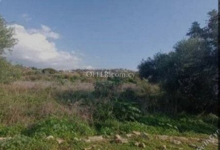 Field for sale in Tsada, Paphos