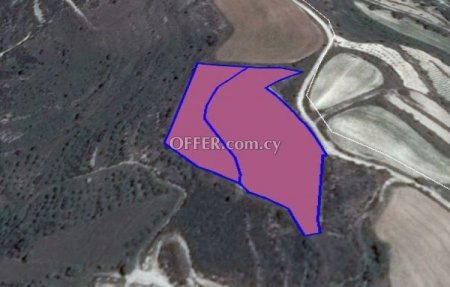 Agricultural Field for sale in Tsada, Paphos - 1