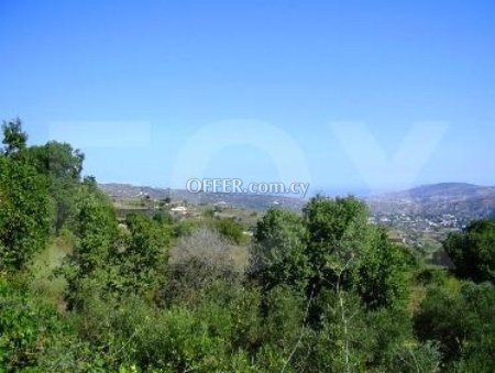 Field for sale in Stroumbi, Paphos