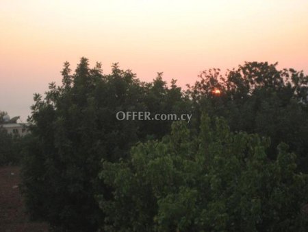 Building Plot for sale in Mesogi, Paphos - 1