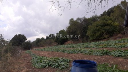 Residential Field for sale in Polemi, Paphos