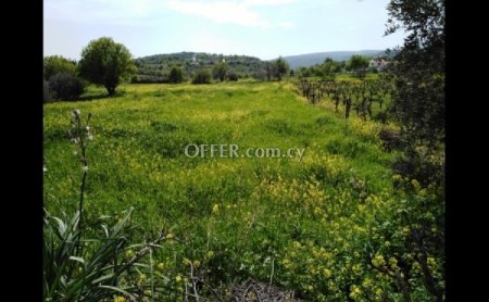 Residential Field for sale in Letymvou, Paphos