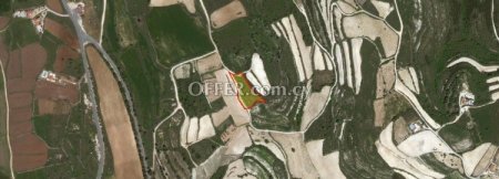 Field for sale in Kathikas, Paphos