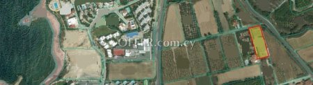 Residential Field for sale in Kissonerga, Paphos - 1