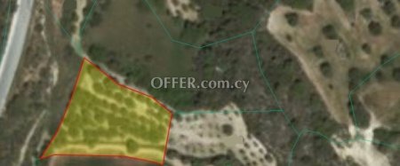Field for sale in Drousia, Paphos