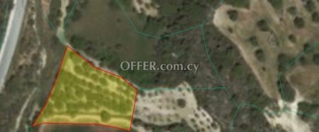 Field for sale in Drousia, Paphos - 1