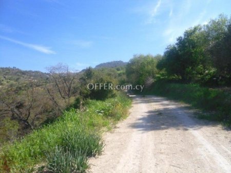 Agricultural Field for sale in Amargeti, Paphos