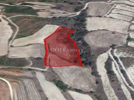 Agricultural Field for sale in Drymou, Paphos