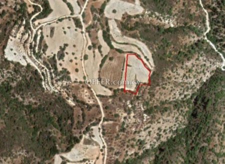 Agricultural Field for sale in Amargeti, Paphos