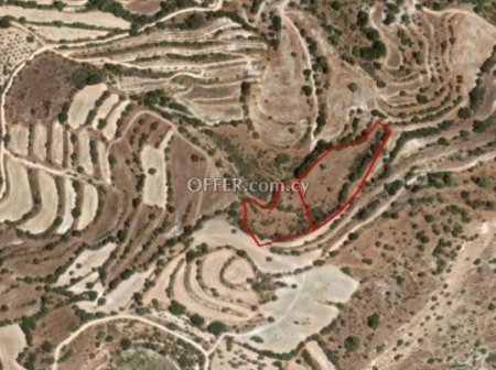 Agricultural Field for sale in Amargeti, Paphos - 1