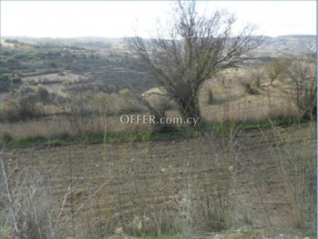 Agricultural Field for sale in Drymou, Paphos