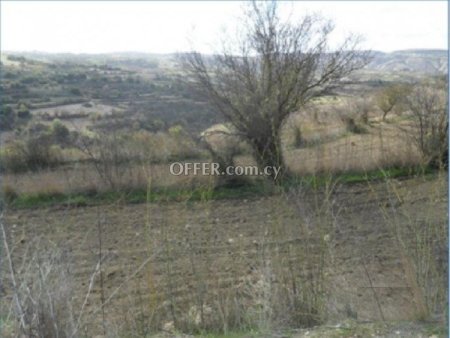 Agricultural Field for sale in Drymou, Paphos - 1