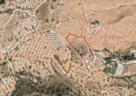 Agricultural Field for sale in Nata, Paphos