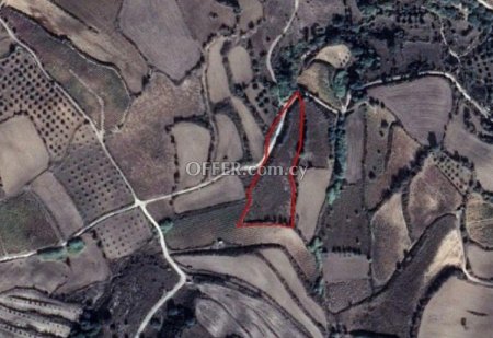 Agricultural Field for sale in Thrinia, Paphos - 1