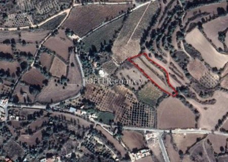 Building Plot for sale in Fyti, Paphos - 1
