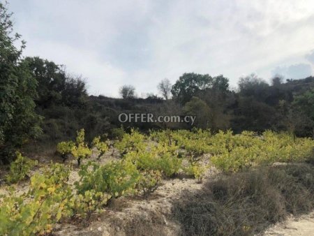 Field for sale in Koili, Paphos - 1