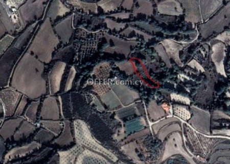 Agricultural Field for sale in Polemi, Paphos - 1