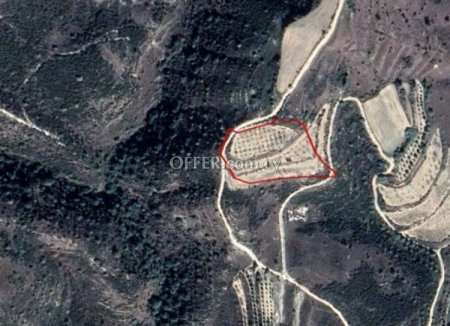 Agricultural Field for sale in Stroumbi, Paphos