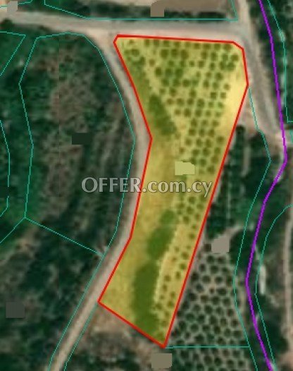 Agricultural Field for sale in Prodromi, Paphos