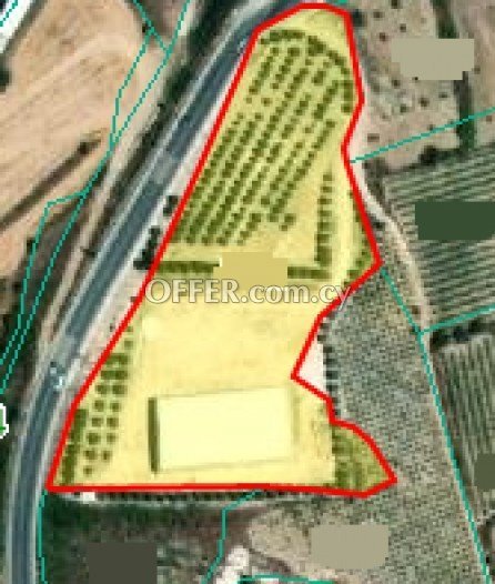 Field for sale in Theletra, Paphos - 1