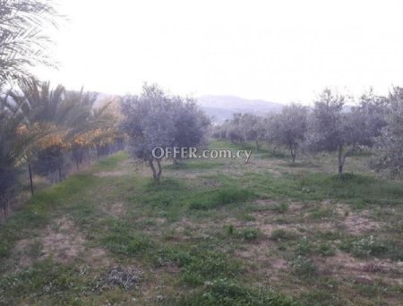 Agricultural Field for sale in Goudi, Paphos