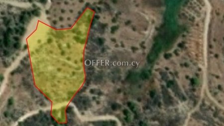 Agricultural Field for sale in Kynousa, Paphos