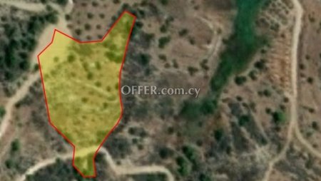 Agricultural Field for sale in Kynousa, Paphos - 1