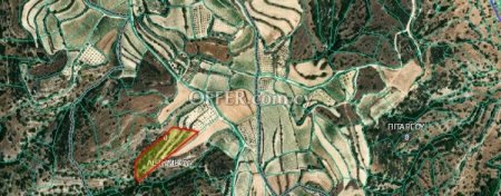 Agricultural Field for sale in Letymvou, Paphos