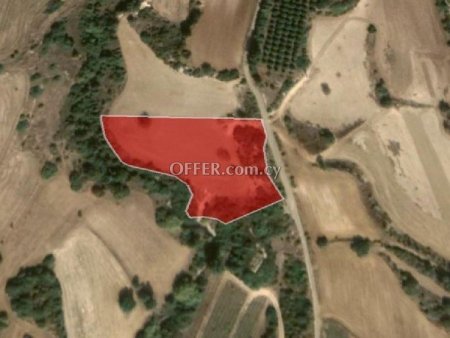 Agricultural Field for sale in Polis Chrysochous, Paphos