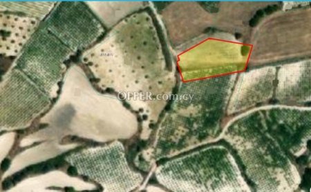 Agricultural Field for sale in Letymvou, Paphos
