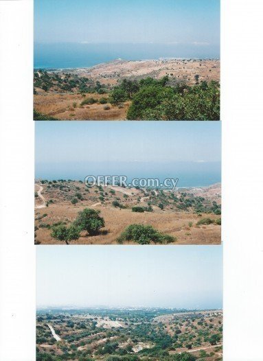 Agricultural Field for sale in Tala, Paphos - 1