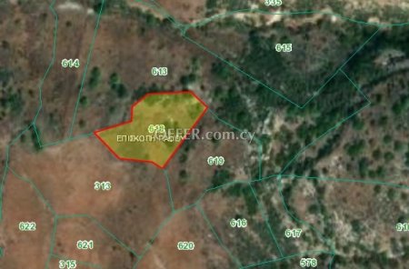 Agricultural Field for sale in Episcopi Paphou, Paphos