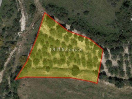 Field for sale in Drousia, Paphos - 1