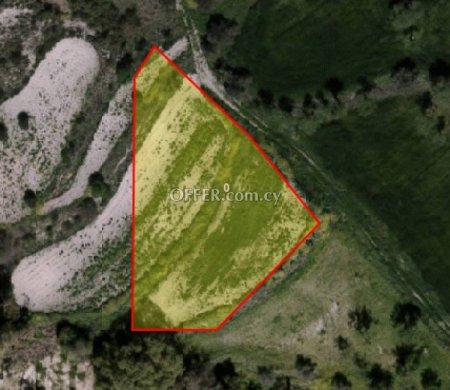 Agricultural Field for sale in Kritou Marottou, Paphos - 1