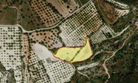 Agricultural Field for sale in Mesa Chorio, Paphos - 1