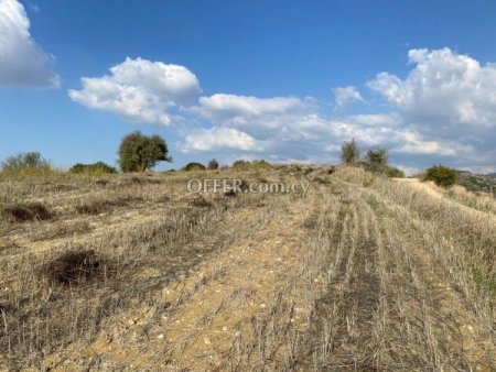 Field for sale in Lemona, Paphos - 1