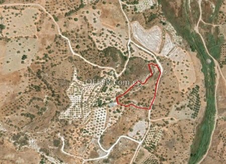 Agricultural Field for sale in Episcopi Paphou, Paphos - 1