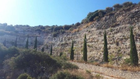 Field for sale in Souskiou, Paphos